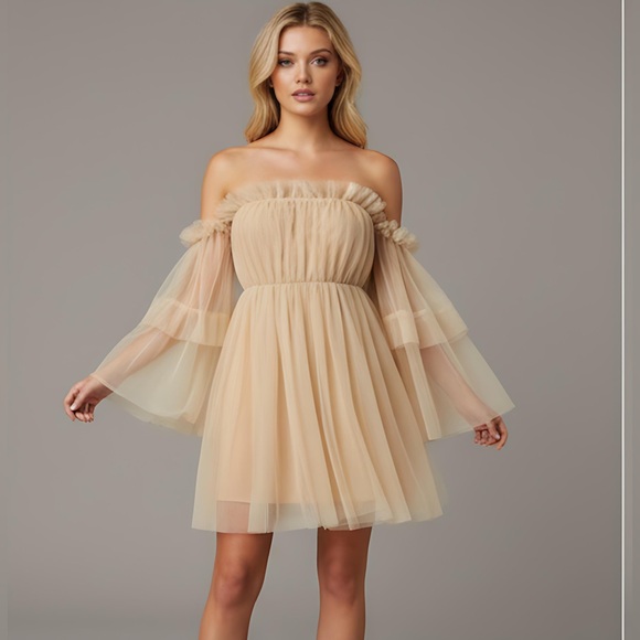 Off Shoulder Ruffle Mesh Dress - Picture 5 of 8